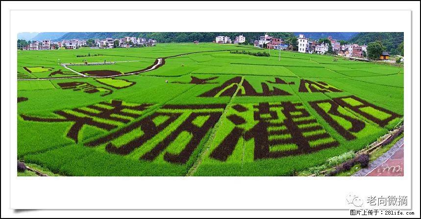 【春天,广西桂林灌阳县向您发出邀请!】开篇 - 游山玩水 - 合肥生活社区 - 合肥28生活网 hf.28life.com