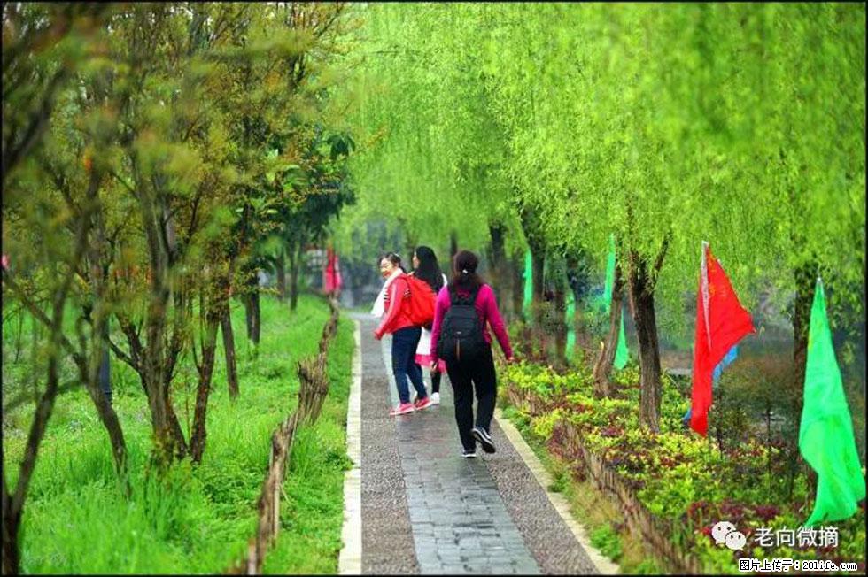 【春天,广西桂林灌阳县向您发出邀请!】江口老街又逢春 - 游山玩水 - 合肥生活社区 - 合肥28生活网 hf.28life.com