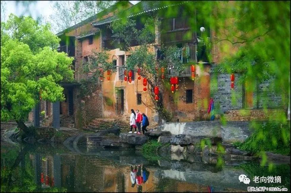 【春天,广西桂林灌阳县向您发出邀请!】江口老街又逢春 - 游山玩水 - 合肥生活社区 - 合肥28生活网 hf.28life.com