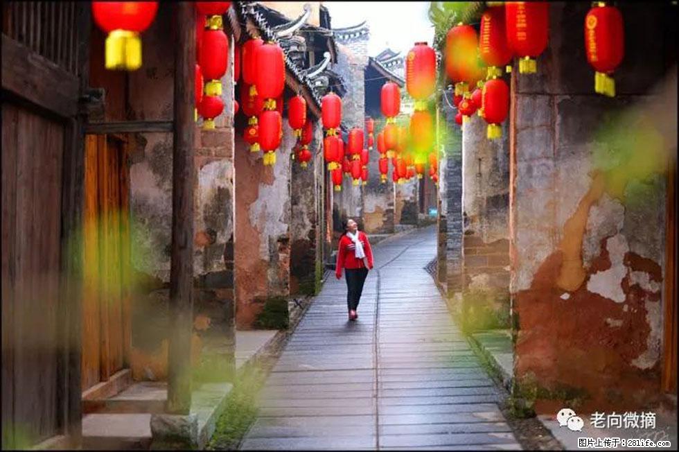 【春天,广西桂林灌阳县向您发出邀请!】江口老街又逢春 - 游山玩水 - 合肥生活社区 - 合肥28生活网 hf.28life.com