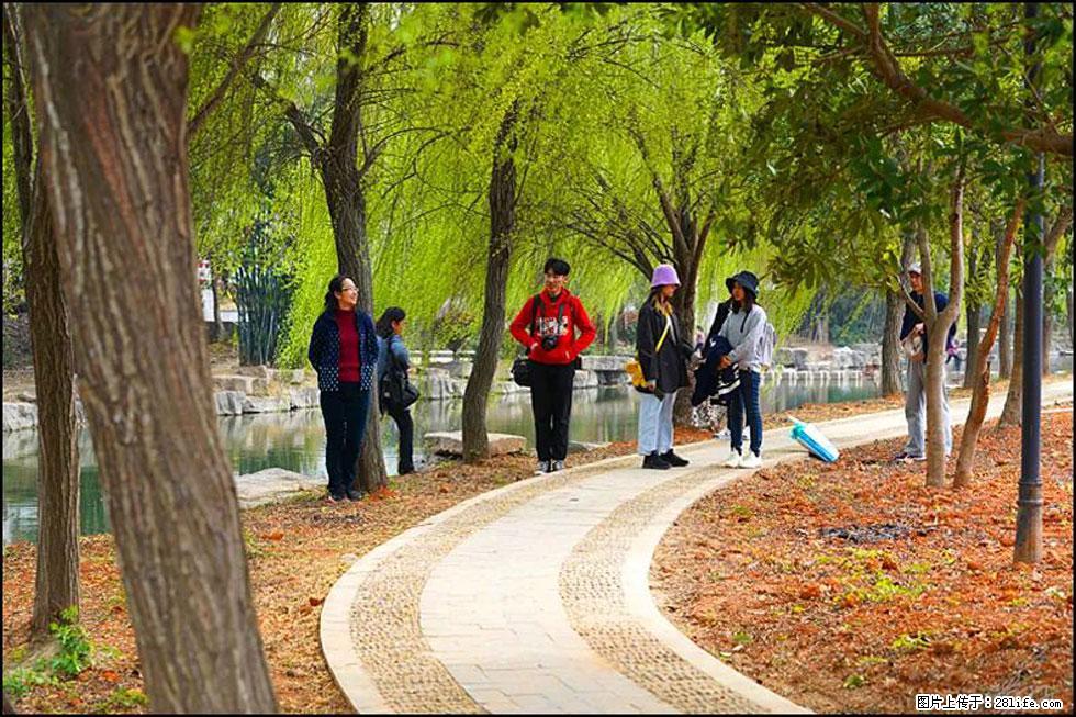 【春天,广西桂林灌阳县向您发出邀请!】江口老街又逢春 - 游山玩水 - 合肥生活社区 - 合肥28生活网 hf.28life.com