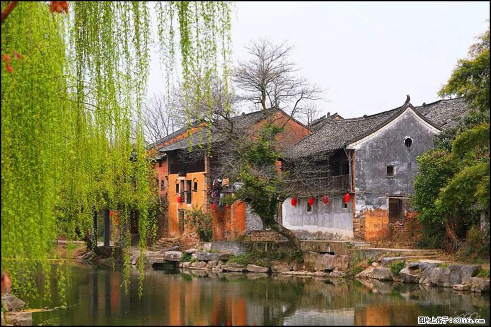 【春天,广西桂林灌阳县向您发出邀请!】江口老街又逢春 - 游山玩水 - 合肥生活社区 - 合肥28生活网 hf.28life.com