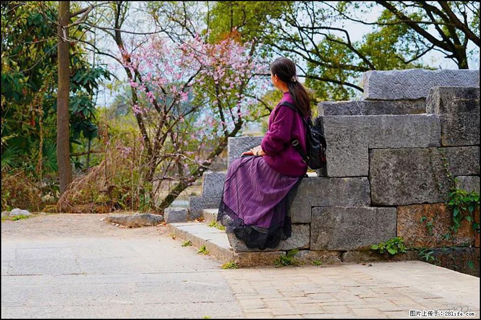 【春天,广西桂林灌阳县向您发出邀请!】江口老街又逢春 - 游山玩水 - 合肥生活社区 - 合肥28生活网 hf.28life.com