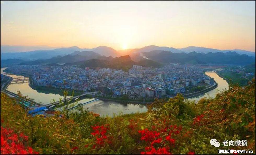 【春天,广西桂林灌阳县向您发出邀请!】登麒麟山,相约映山红 - 游山玩水 - 合肥生活社区 - 合肥28生活网 hf.28life.com