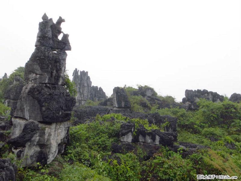 桂林旅游名城景点:灌阳文市石林 - 游山玩水 - 合肥生活社区 - 合肥28生活网 hf.28life.com