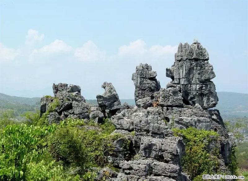 桂林旅游名城景点:灌阳文市石林 - 游山玩水 - 合肥生活社区 - 合肥28生活网 hf.28life.com