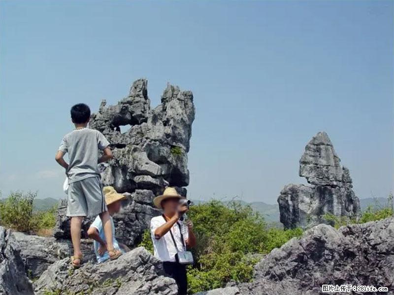 桂林旅游名城景点:灌阳文市石林 - 游山玩水 - 合肥生活社区 - 合肥28生活网 hf.28life.com