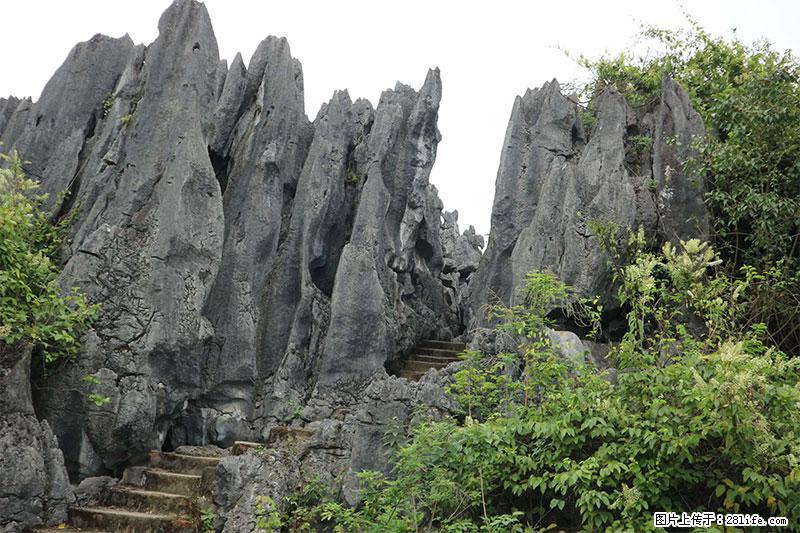 桂林旅游名城景点:灌阳文市石林 - 游山玩水 - 合肥生活社区 - 合肥28生活网 hf.28life.com