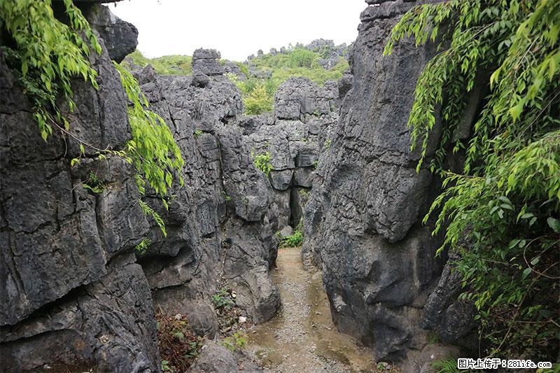 桂林旅游名城景点:灌阳文市石林 - 游山玩水 - 合肥生活社区 - 合肥28生活网 hf.28life.com