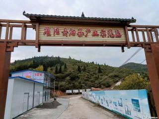 【灌阳县油茶产业示范区】一个有着充实的精神生活的人,对待身外之物自会有一种淡泊的态度 - 合肥28生活网 hf.28life.com