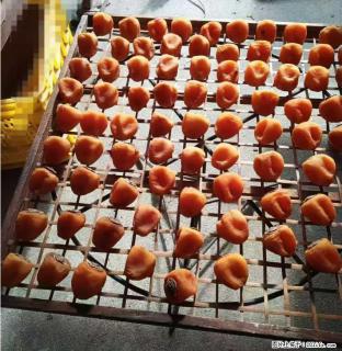 广西桂林平乐桥亭【柿饼之乡】2025年纯手工制作、无任何添加剂的第一批柿饼准备上市了，欢迎联系订购！ - 合肥28生活网 hf.28life.com