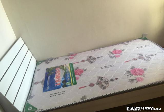 (单间出租)财富广场金科玉带河畔单间 - 房屋出租 - 房屋租售 - 合肥分类信息 - 合肥28生活网 hf.28life.com