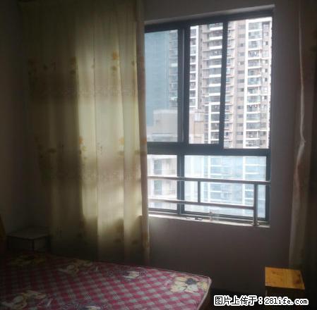 (单间出租)徽贵苑临滨苑有各种需求的单间300600无中介费 - 房屋出租 - 房屋租售 - 合肥分类信息 - 合肥28生活网 hf.28life.com