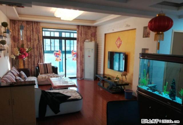 八中 森林海 精装自住两房 随时看房 御龙湾 万象城 采光好 - 房屋出租 - 房屋租售 - 合肥分类信息 - 合肥28生活网 hf.28life.com