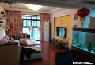 八中 森林海 精装自住两房 随时看房 御龙湾 万象城 采光好 - 合肥28生活网 hf.28life.com