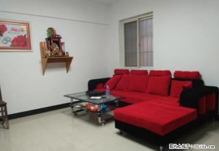 精装2室1厅好房 南小45中对面 接送方便 适合一家居住 - 合肥28生活网 hf.28life.com