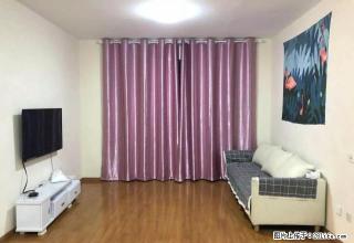 真实图片万达临湖苑豪华装修《三台格力空调冰箱洗衣机全新》急租 - 合肥28生活网 hf.28life.com