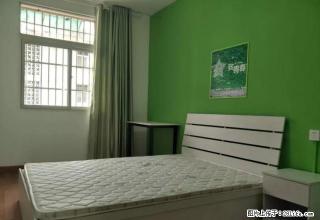 高河埂 白水坝 财富广场 整租两室 月付 没有中介费 天然气 - 合肥28生活网 hf.28life.com