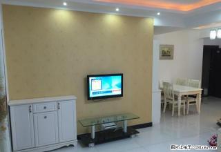 明光路胜利路口 金色梧桐 精装两室整租 可短租可月付 - 合肥28生活网 hf.28life.com