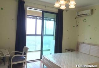 明光路胜利路口 金色梧桐 温馨精装小套 可短租月付 - 合肥28生活网 hf.28life.com