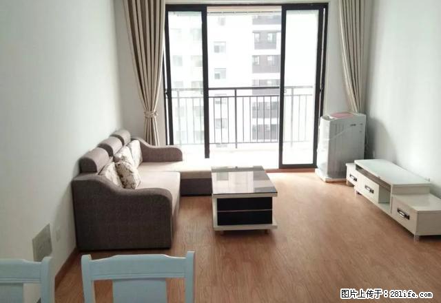 揽湖苑精装三房,我们租的你以为是房子,租的是一份心意,安心 - 房屋出租 - 房屋租售 - 合肥分类信息 - 合肥28生活网 hf.28life.com