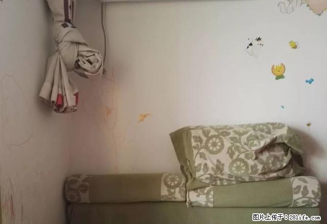 南一环金湾家园精装一室一厅家电齐全拎包即住 - 房屋出租 - 房屋租售 - 合肥分类信息 - 合肥28生活网 hf.28life.com