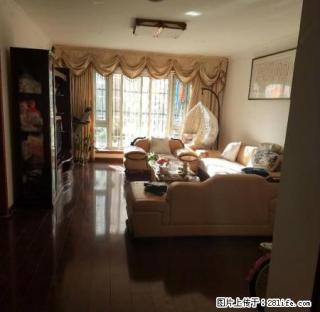 丰大国际 精装两房 家电齐全 拎包入住2000包物业随看随住 - 合肥28生活网 hf.28life.com