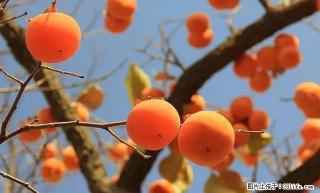 AAA 高新区别墅4室2厅，6000元/月，办公仓储居家 - 合肥28生活网 hf.28life.com