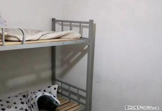 香港广场后面 寿春五巷 家电家具齐全 房内照片 - 合肥28生活网 hf.28life.com