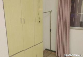 超Di价 仅此一间 适合长租 东海大麦公寓明珠广场安医二附院 - 合肥28生活网 hf.28life.com