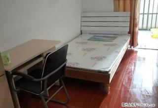 (单间出租)地矿家园朝南带阳台采光好晾晒衣物方便押一付一安静卫生单间出租 - 合肥28生活网 hf.28life.com