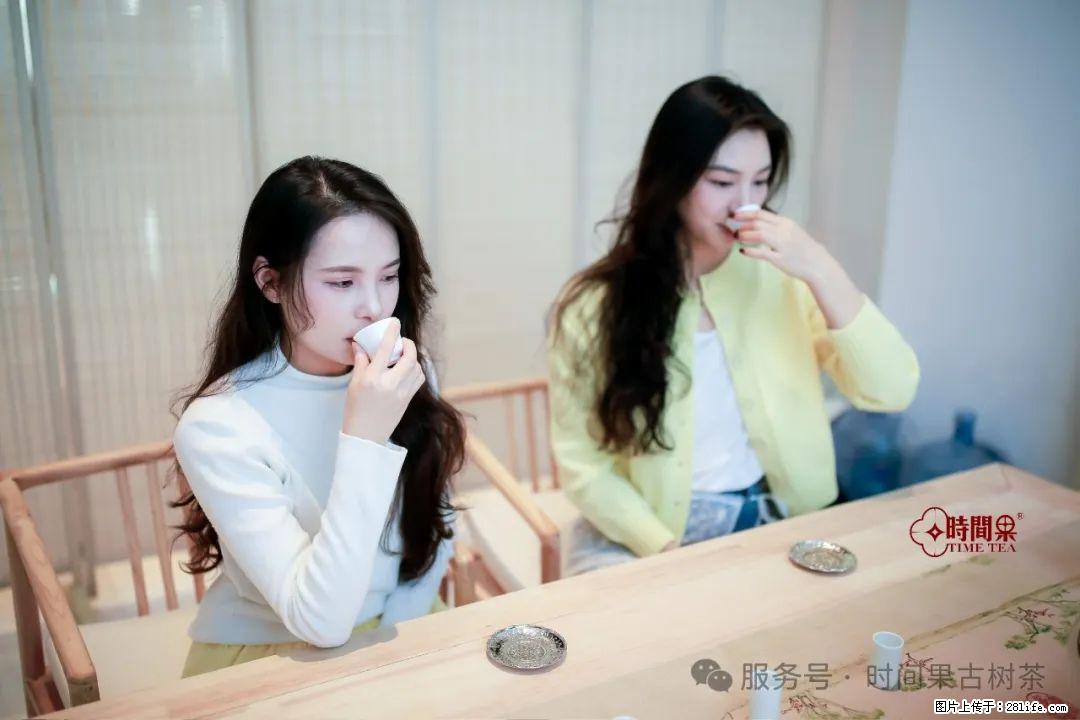 时间果百年古树龙珠普洱生茶 - 购物交流 - 合肥生活社区 - 合肥28生活网 hf.28life.com