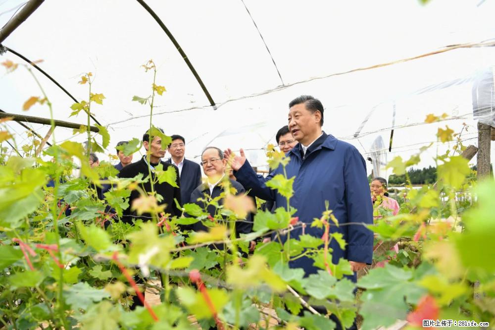 习近平赴广西考察调研 - 合肥生活资讯 - 合肥28生活网 hf.28life.com