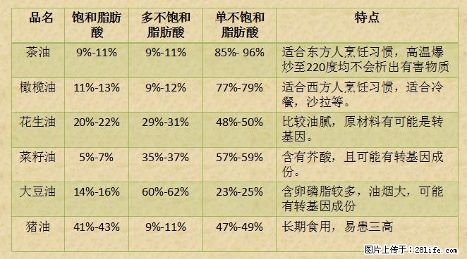 揭秘茶油的5大核心营养成分!被称为人体健康的“守护盾”! - 合肥生活资讯 - 合肥28生活网 hf.28life.com