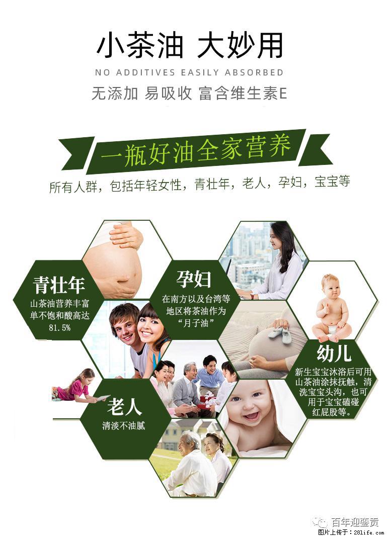 世界没有真相,只有认知,最好的食用油是中国的山茶油! - 合肥生活资讯 - 合肥28生活网 hf.28life.com