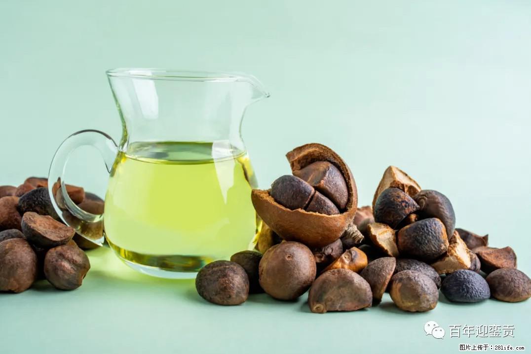世界没有真相，只有认知，最好的食用油是中国的山茶油！ - 合肥生活资讯 - 合肥28生活网 hf.28life.com
