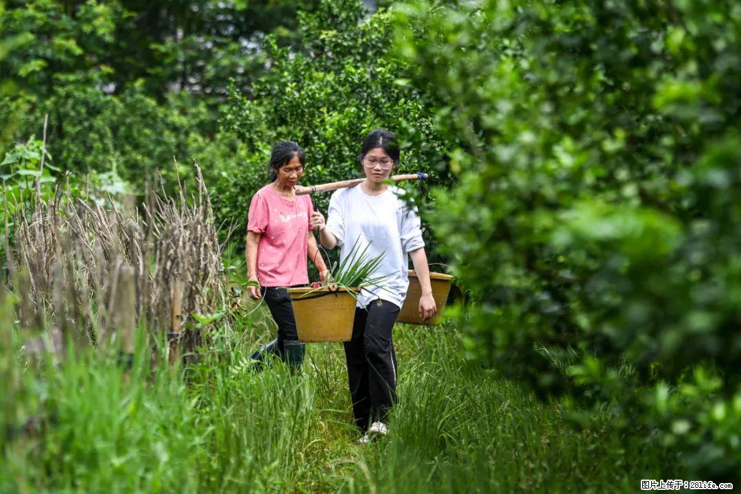 全网追的“扁担女孩”,找了一份暑假工,时薪12元 - 合肥生活资讯 - 合肥28生活网 hf.28life.com