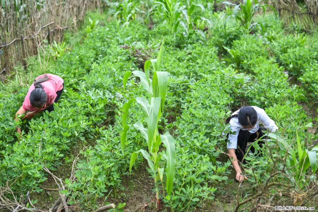 全网追的“扁担女孩”,找了一份暑假工,时薪12元 - 合肥生活资讯 - 合肥28生活网 hf.28life.com