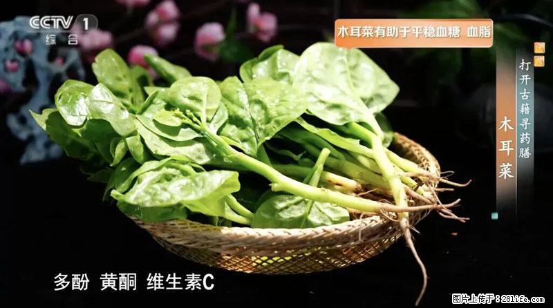 比牛奶补钙还厉害!凉血解毒、稳血糖...这菜冬天必吃,很多人却当草 - 合肥生活资讯 - 合肥28生活网 hf.28life.com