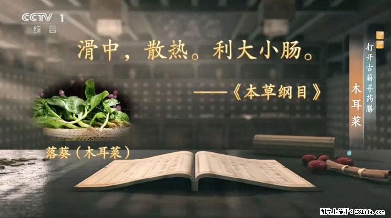 比牛奶补钙还厉害!凉血解毒、稳血糖...这菜冬天必吃,很多人却当草 - 合肥生活资讯 - 合肥28生活网 hf.28life.com