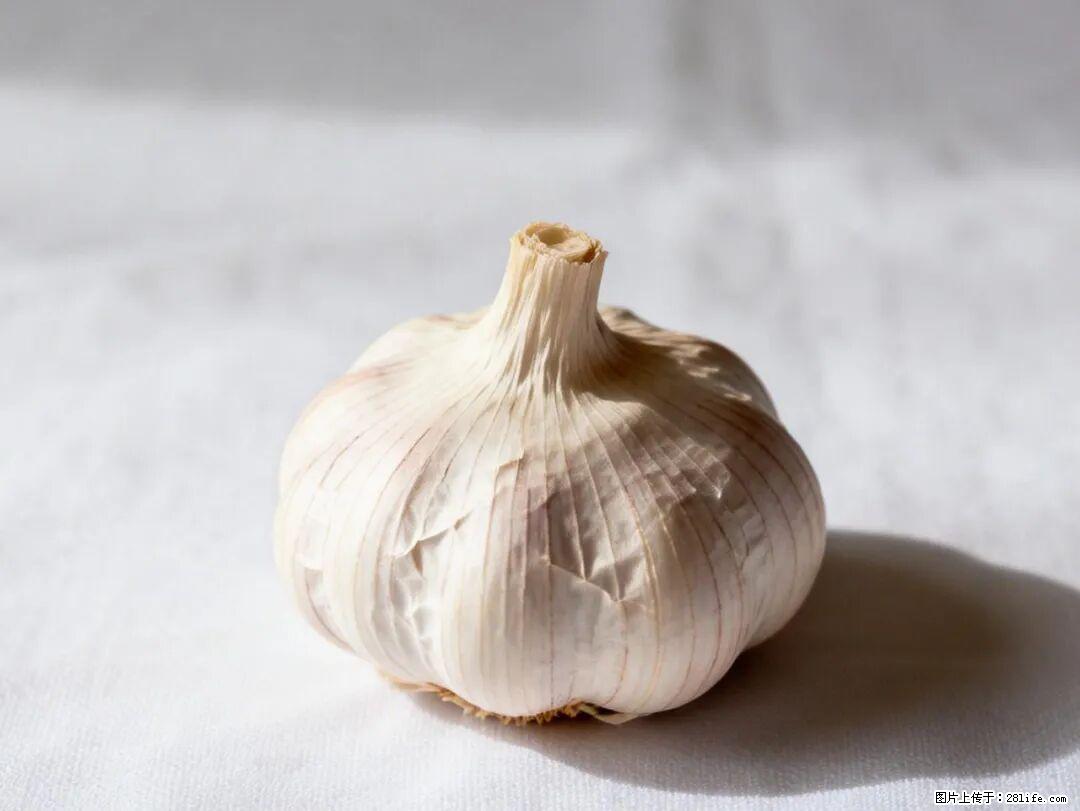 关于大蒜,除了“天然抗生素”,这4个谣言更该警惕! - 合肥生活资讯 - 合肥28生活网 hf.28life.com