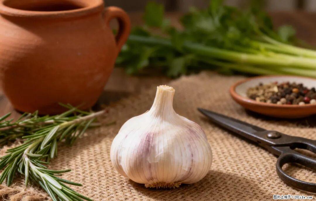关于大蒜,除了“天然抗生素”,这4个谣言更该警惕! - 合肥生活资讯 - 合肥28生活网 hf.28life.com
