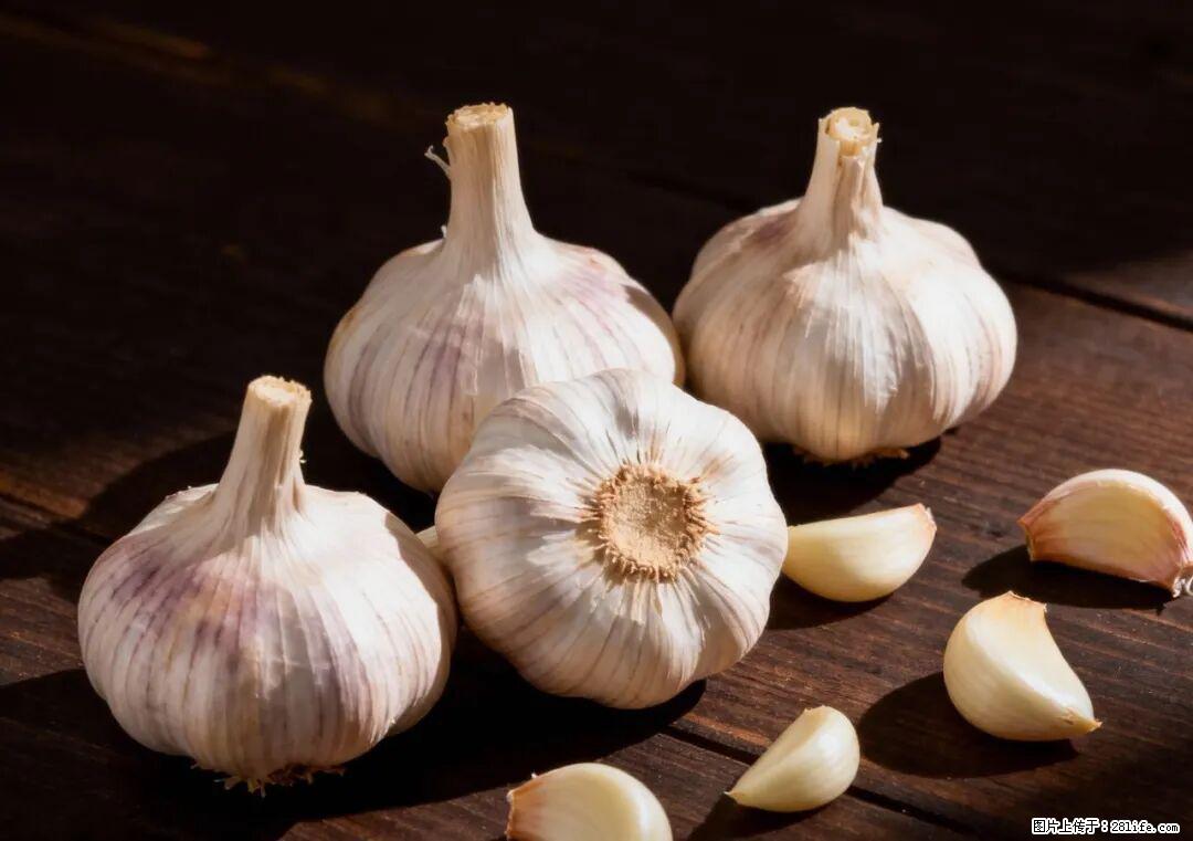 关于大蒜,除了“天然抗生素”,这4个谣言更该警惕! - 合肥生活资讯 - 合肥28生活网 hf.28life.com