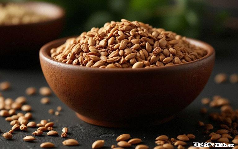 这三苦是三高“克星”,心血管干净不易堵!每天吃一点,指标慢慢降下来~ - 合肥生活资讯 - 合肥28生活网 hf.28life.com