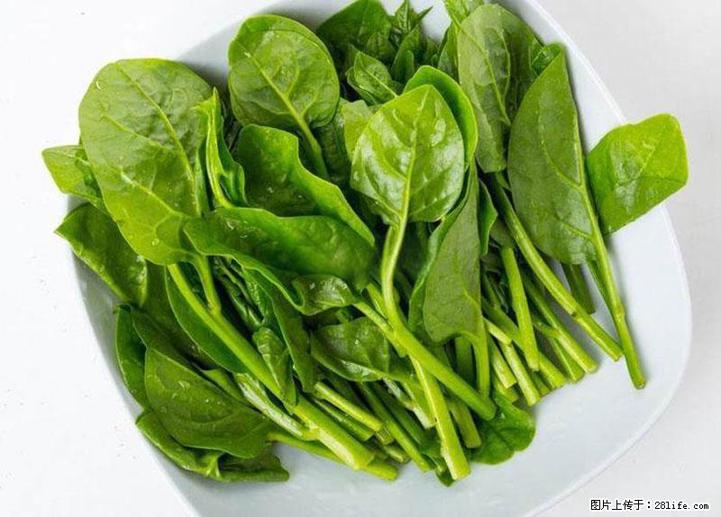 这些蔬菜是“天然钙片”，这6种被医生重点推荐 - 合肥生活资讯 - 合肥28生活网 hf.28life.com