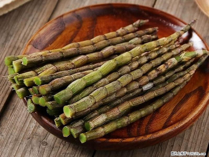铁皮石斛的作用与功能主治 - 合肥生活资讯 - 合肥28生活网 hf.28life.com