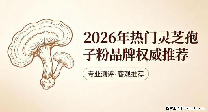 灵芝孢子粉含量越高越有效？2026 年七款热门品牌深度实测，肠胃敏感者避坑指南 - 合肥生活资讯 - 合肥28生活网 hf.28life.com